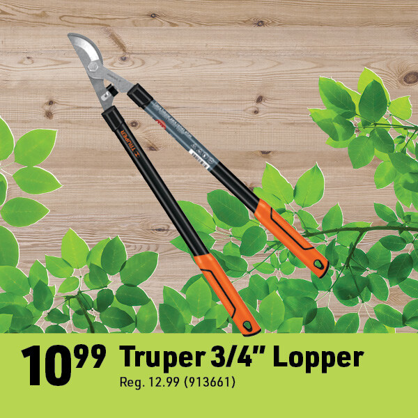 April 14 Web Image32