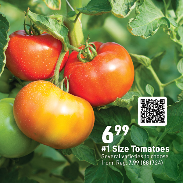 May 26 Web Image2