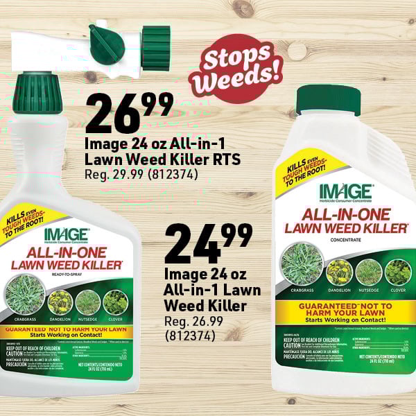 Aug 4 Web Image37