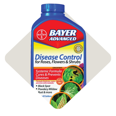 Disease Control