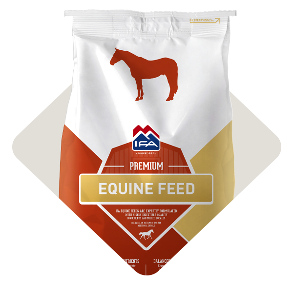 Equine-Feed