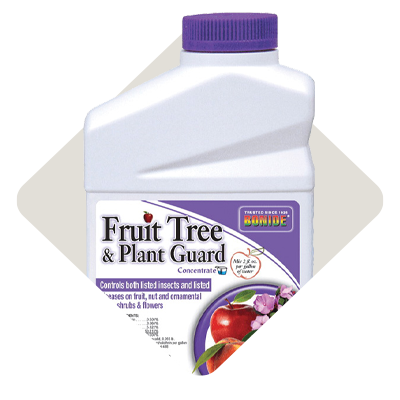 Insecticides
