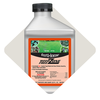 Lawn Weed Control