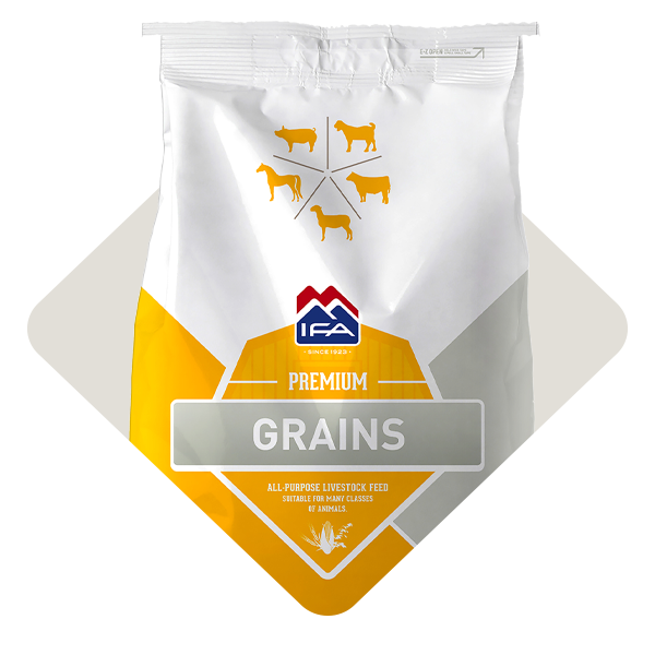 Category_Level2_Whole-Bagged-Grains