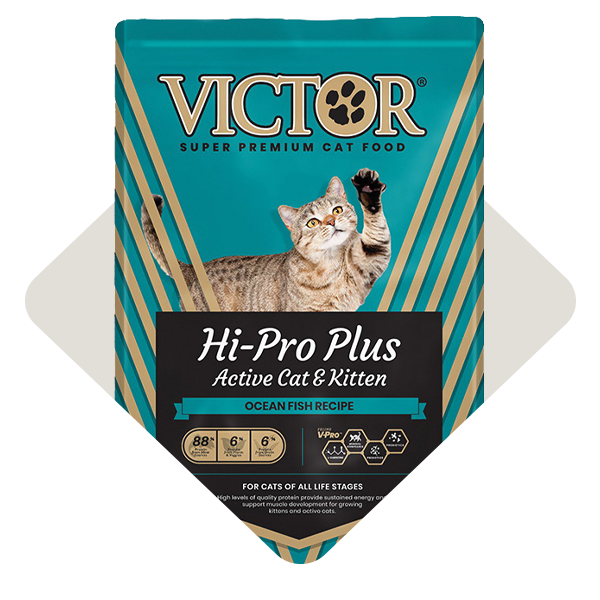 Cat Food
