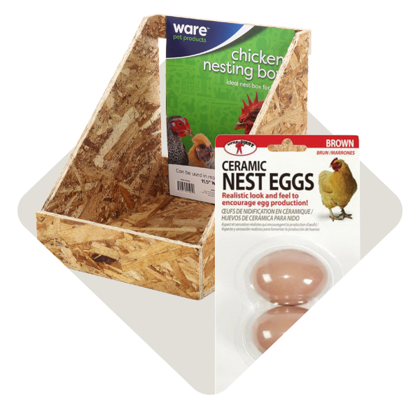 Chicken-Coop-Accessories