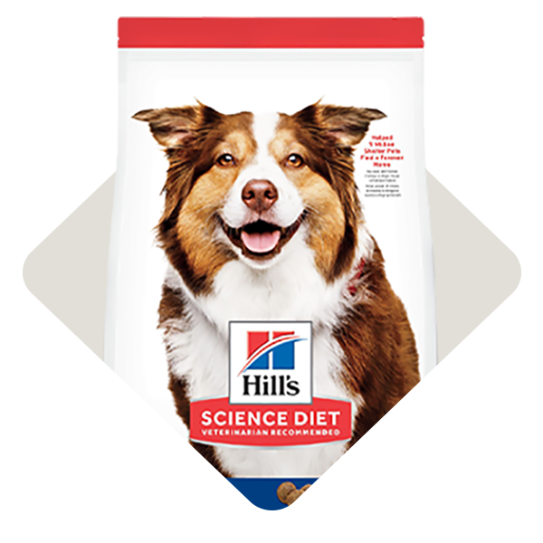 Dog-Food