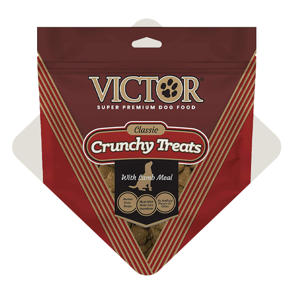Dog-Treats