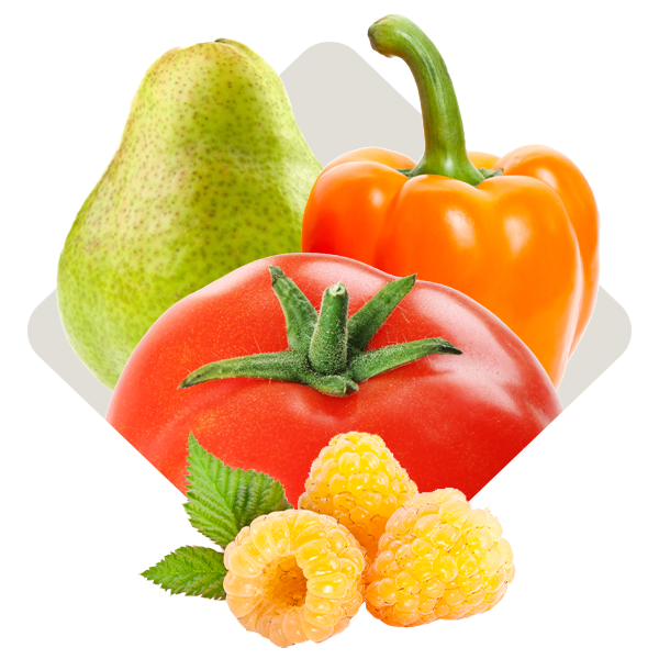 Grow Your Own Edible Garden