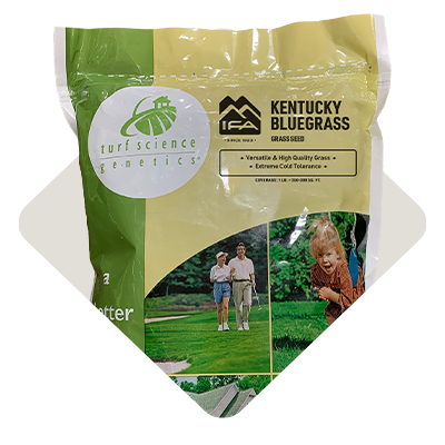 Grass Seed