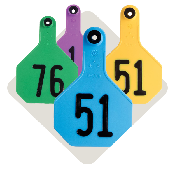 Category_Level3_Identification-Systems