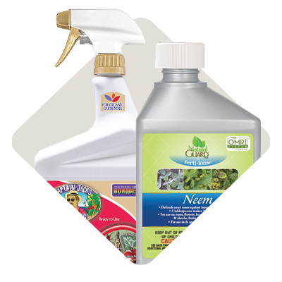 Organic Insecticides