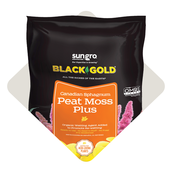 Peat Moss