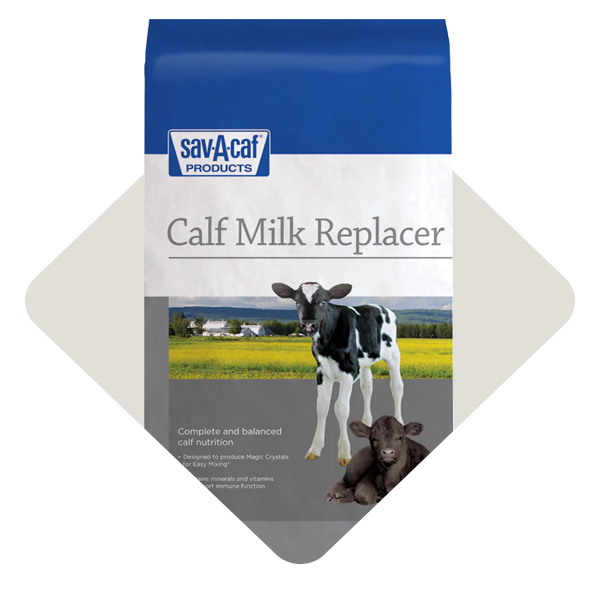 Category_Level3_Supplements2_Calf-Milk-Replacer