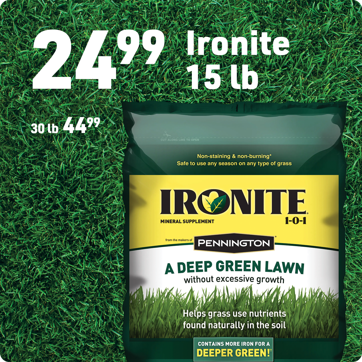 Shop Ironite