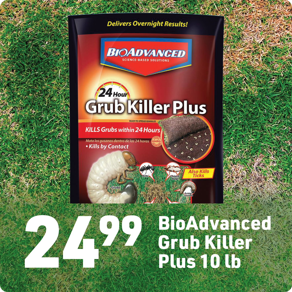 Shop BioAdvanced Grub Killer Plus