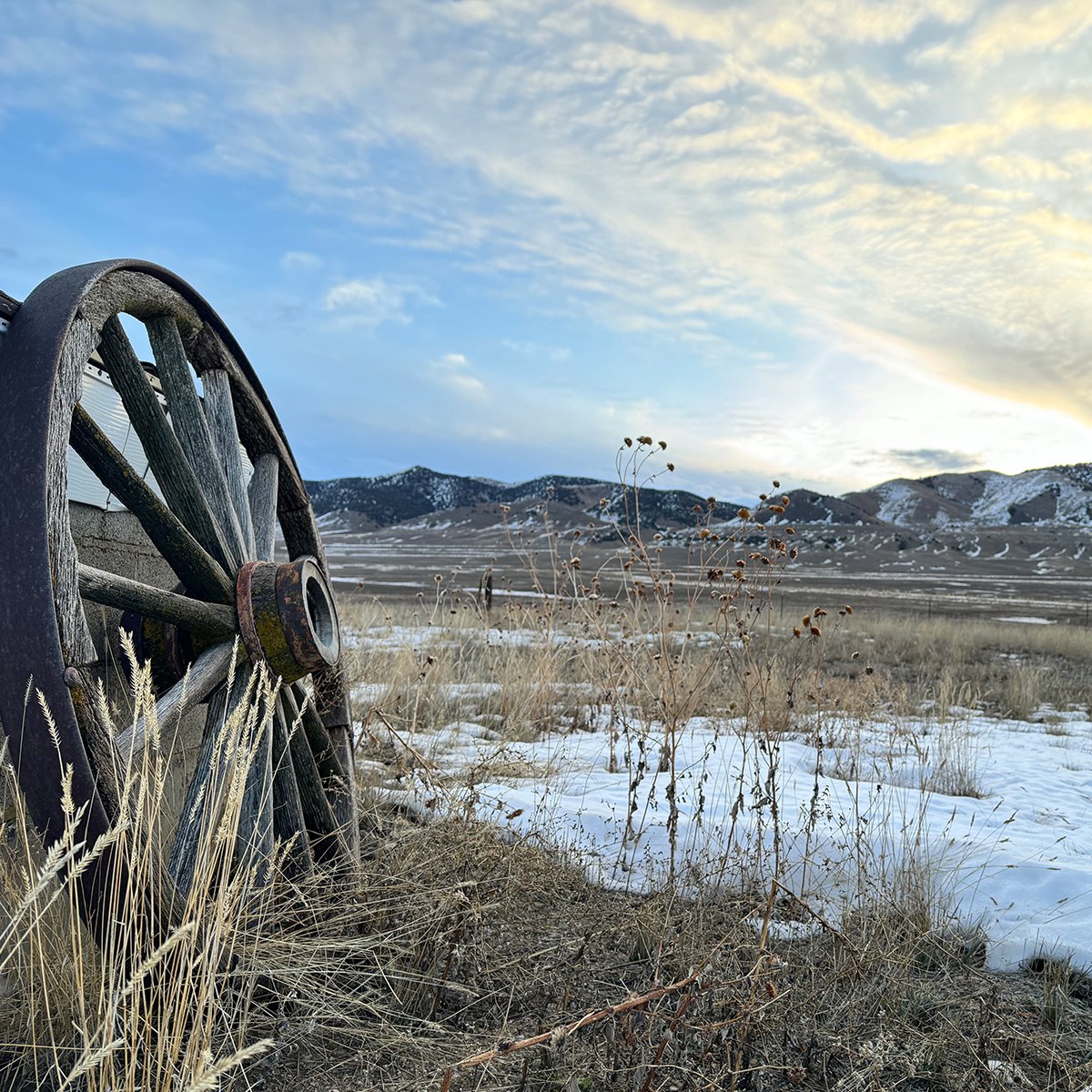 IFA_FarmLifePhoto24_Day1_Winners_AlishaD_Tremonton_Mountain2