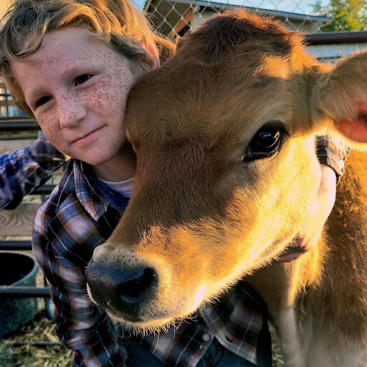IFA_FarmLifePhoto24_Day1_Winners_CleoB_Riverton_Kid2