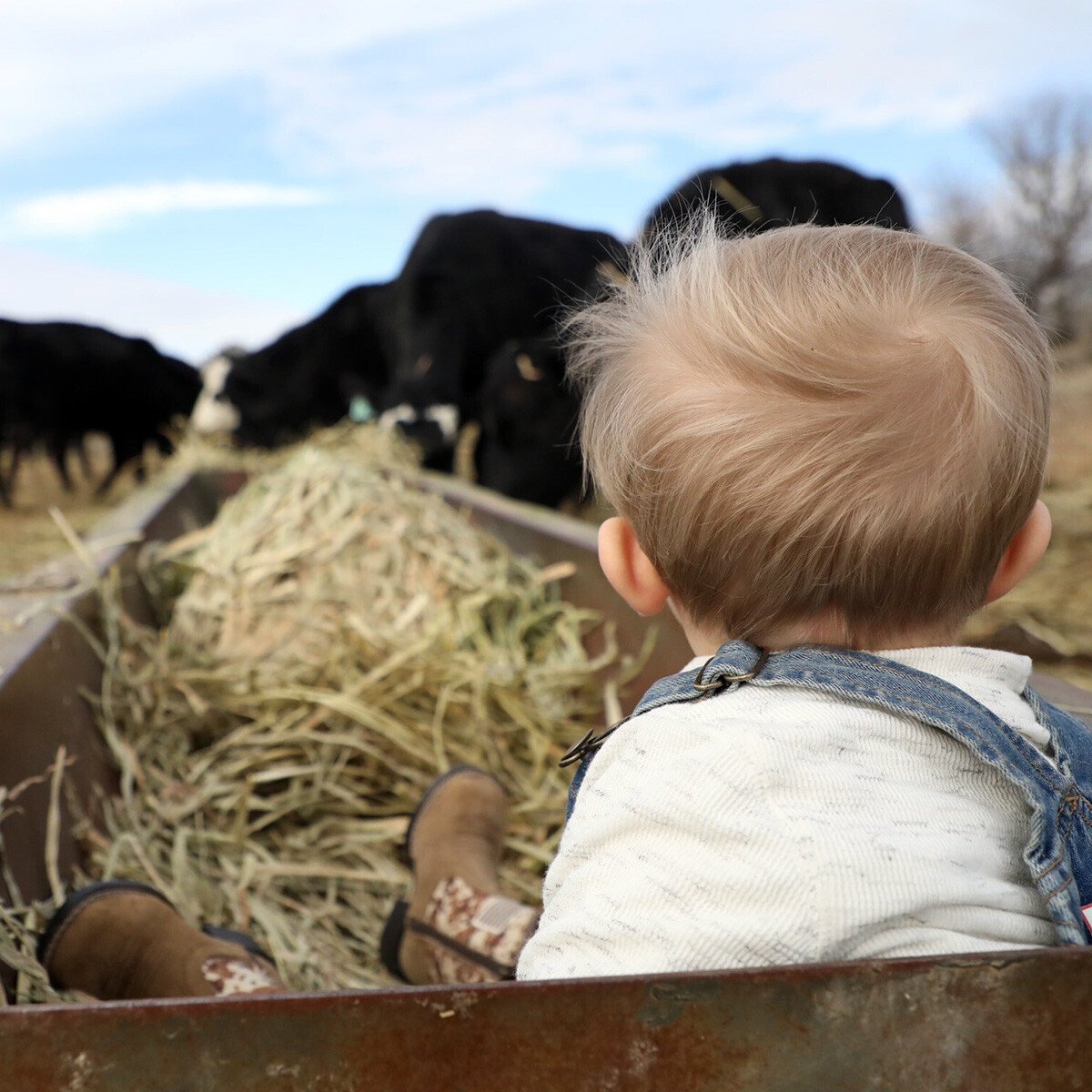 IFA_FarmLifePhoto24_Day5_Winners_ShelbyG_Farmington_People5