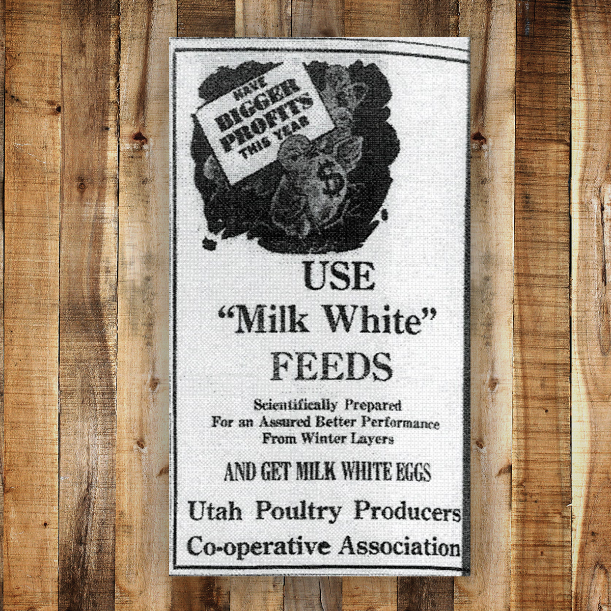 IFA's Historical Photo Contest IFA Country Stores