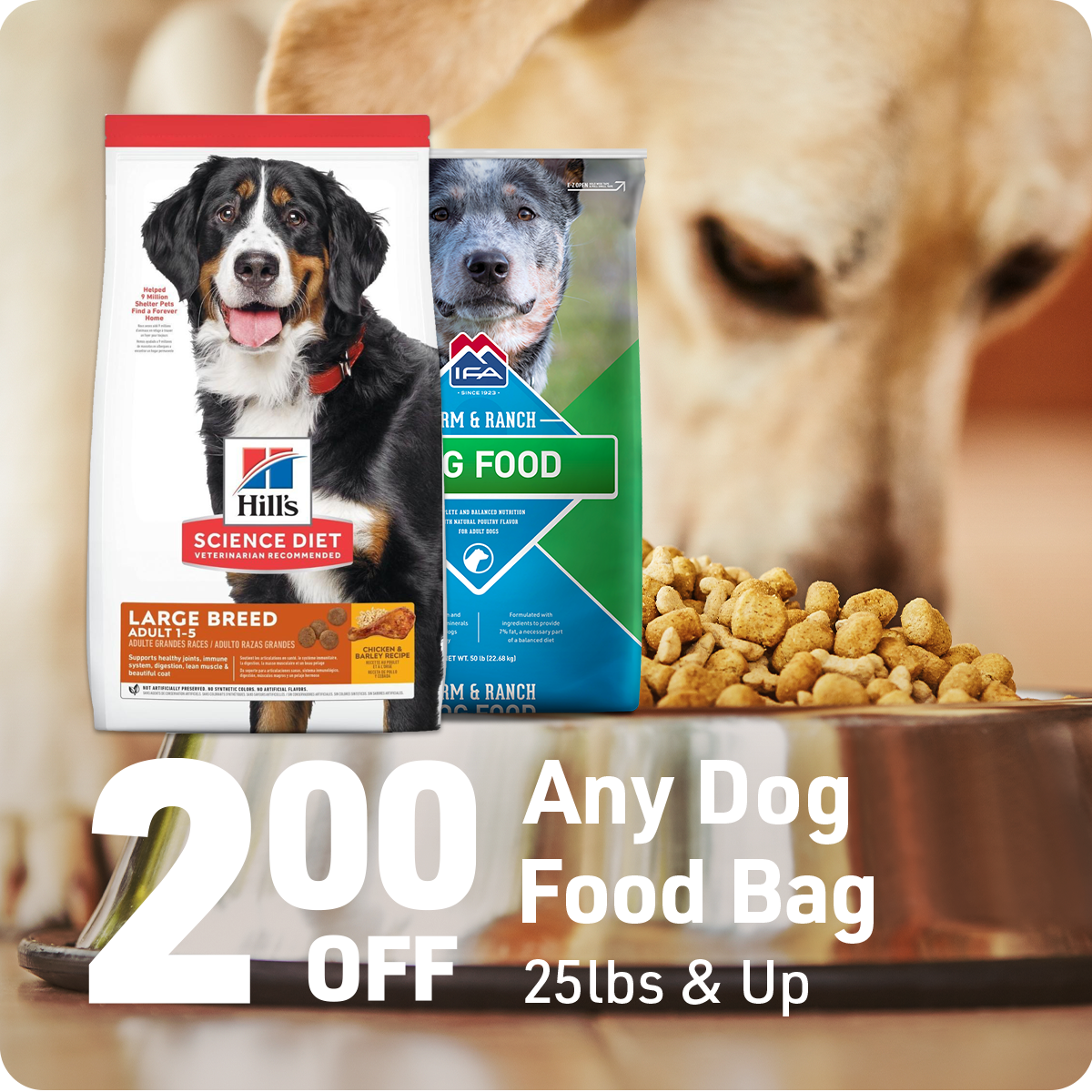 $2 Off Any Dog Food