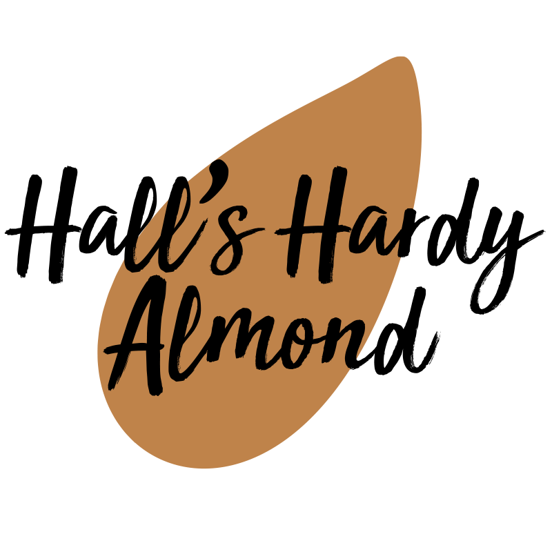 Halls-Hardy-Almond-Tree