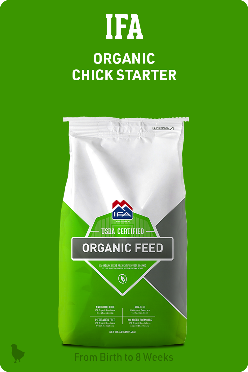 Organic-chick-feed-img1