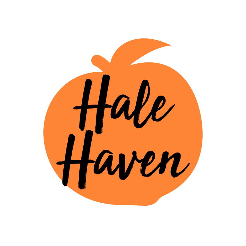 Hale Haven Peaches
