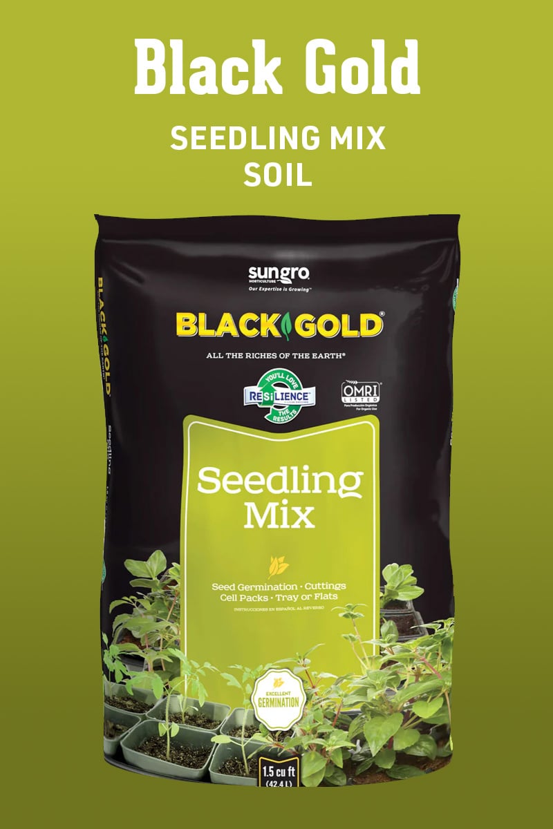 Product_Box_Black-Gold-Seedling-Mix_img1