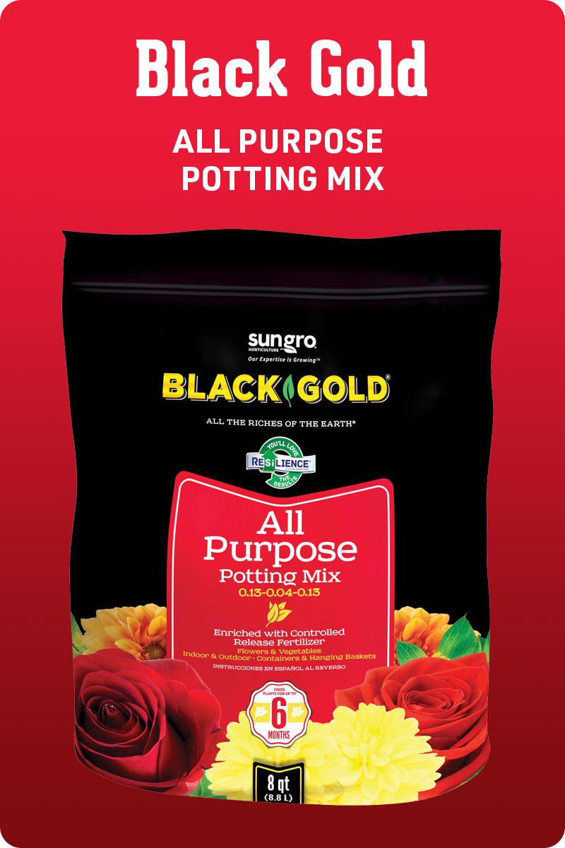Black Gold Potting Mix