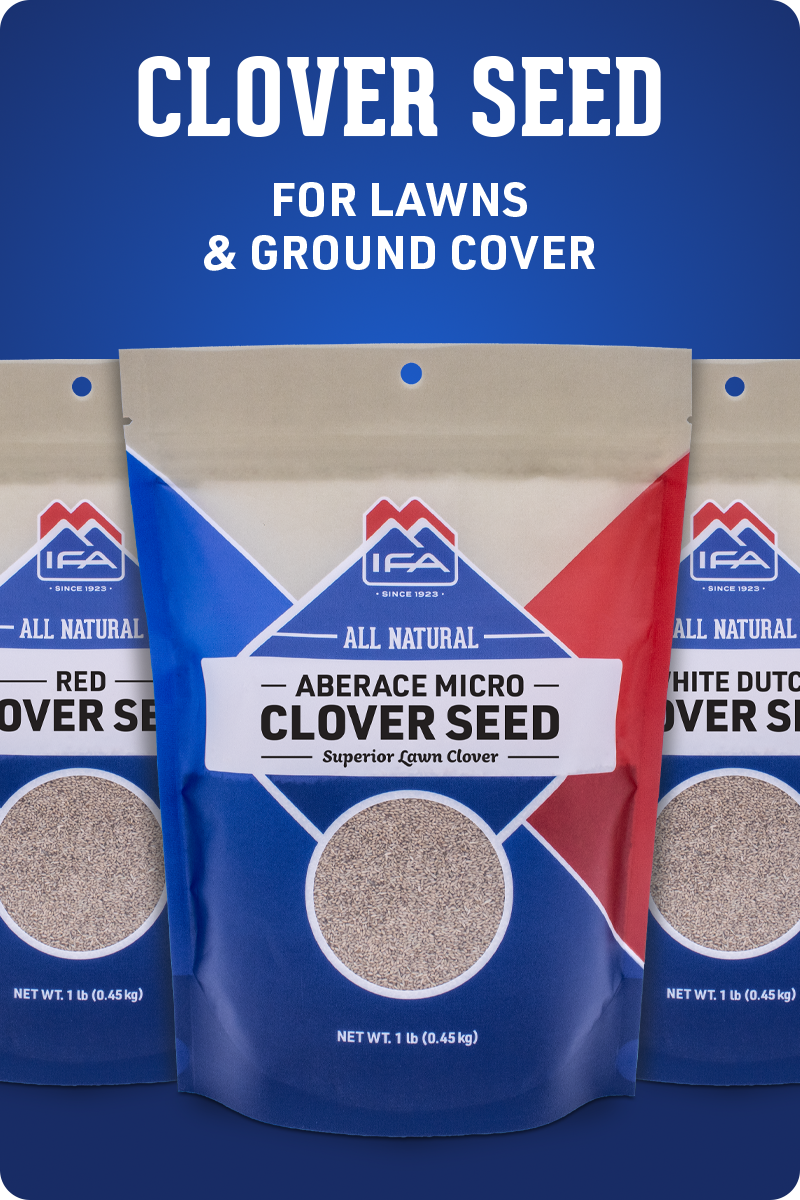 All Clover Seed