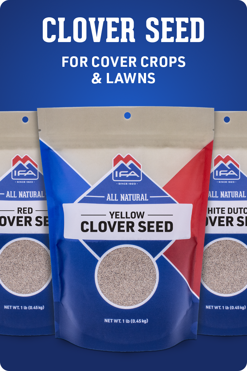 All Clover Seed