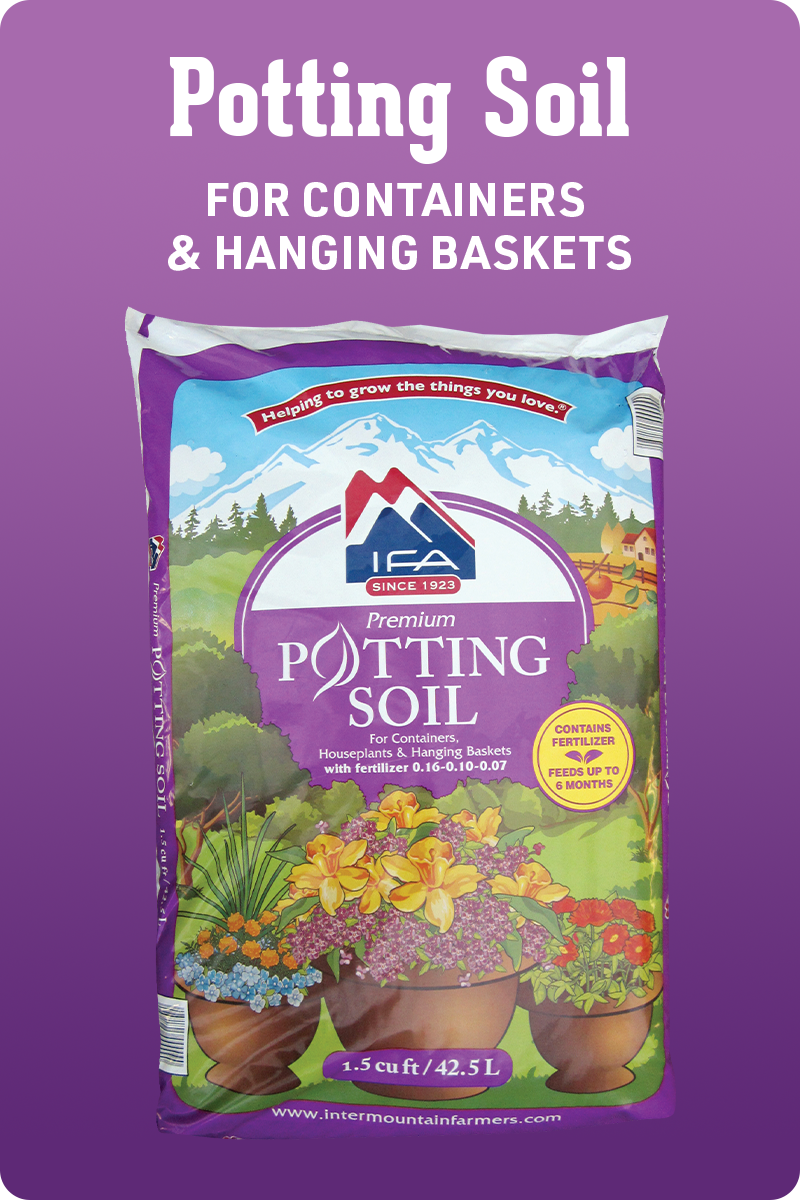 IFA Potting Soil