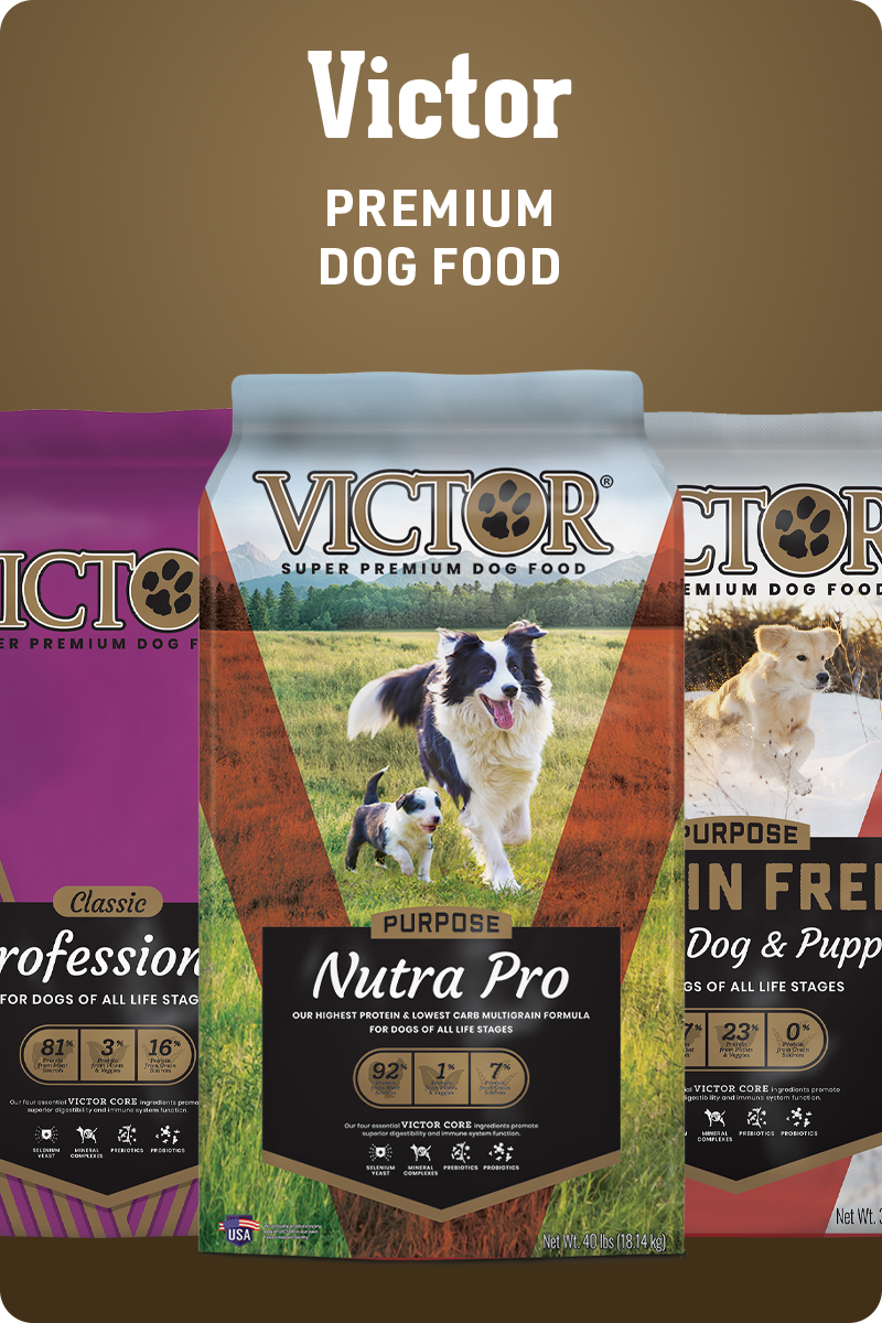 best-farm-dog-breeds-victor-dog-food
