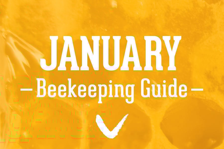 January-Beekeeping-Guide