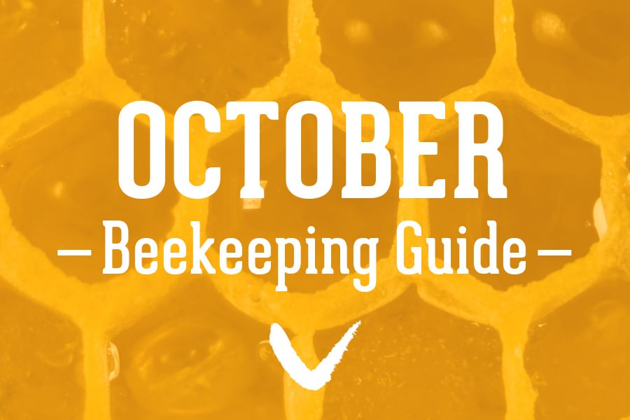 October-Beekeeping-Guide
