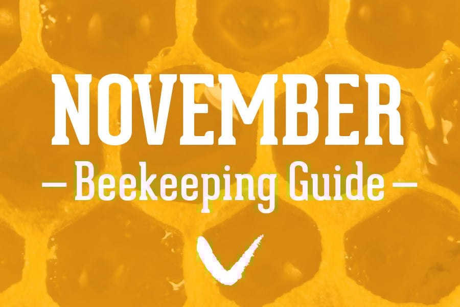 November-Beekeeping-Guide