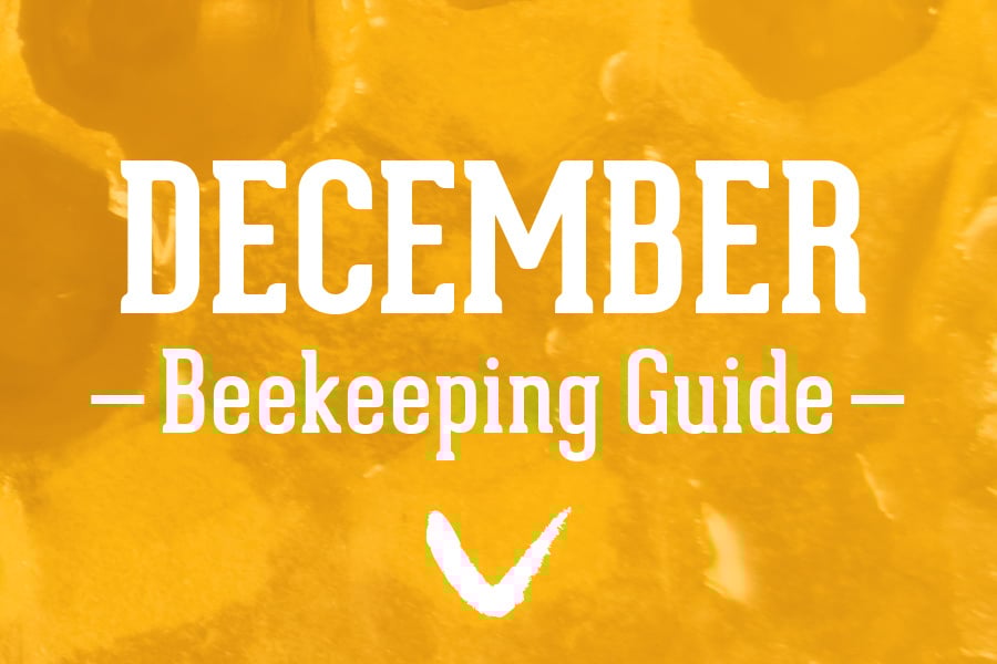 December-Beekeeping-Guide