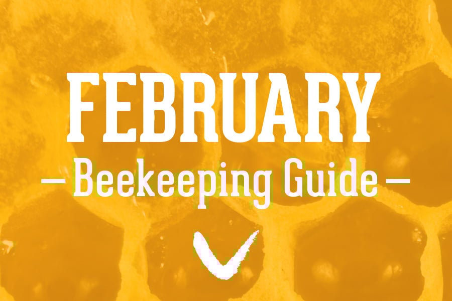 February-Beekeeping-Guide