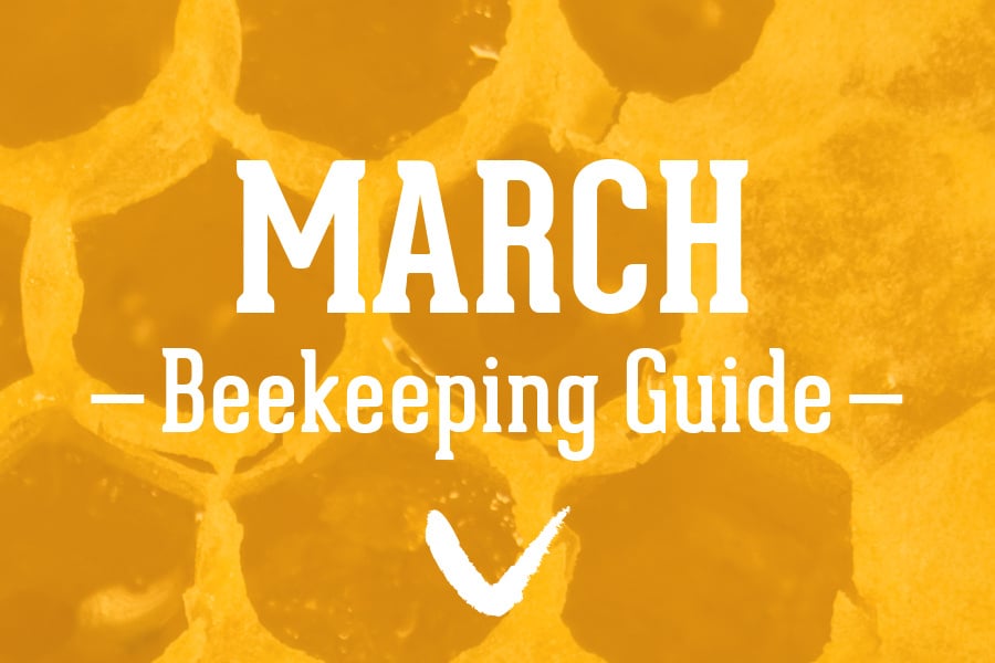 March-Beekeeping-Guide