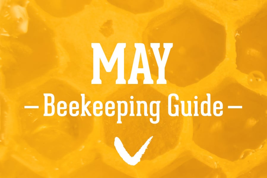 May-Beekeeping-Guide