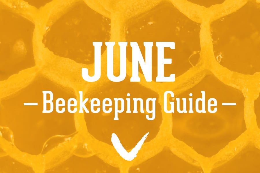 June-Beekeeping-Guide