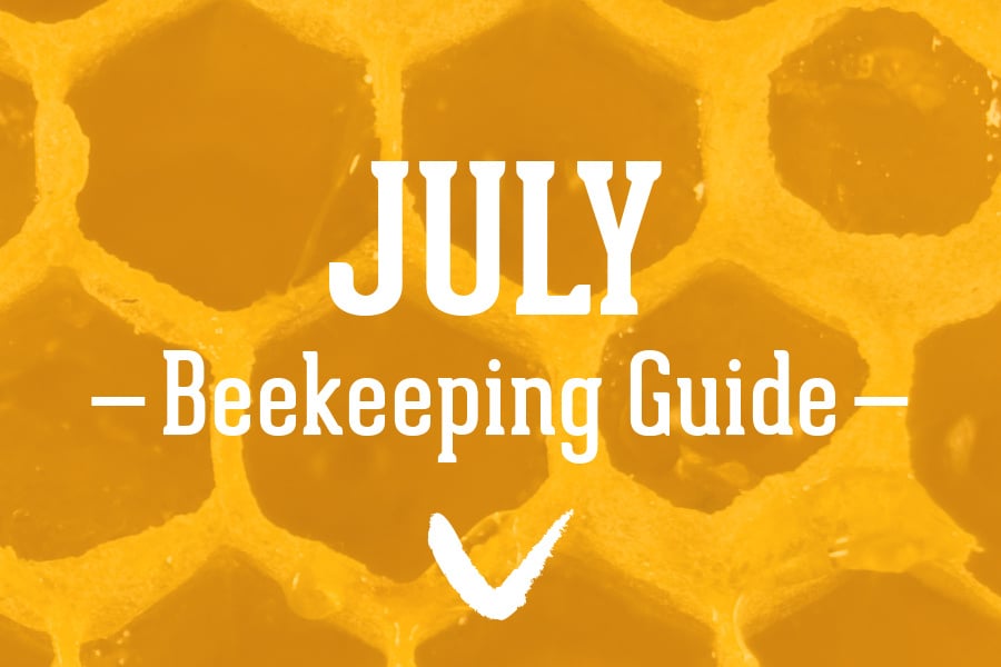 July-Beekeeping-Guide