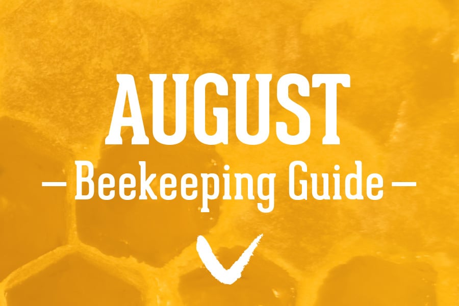 August-Beekeeping-Guide
