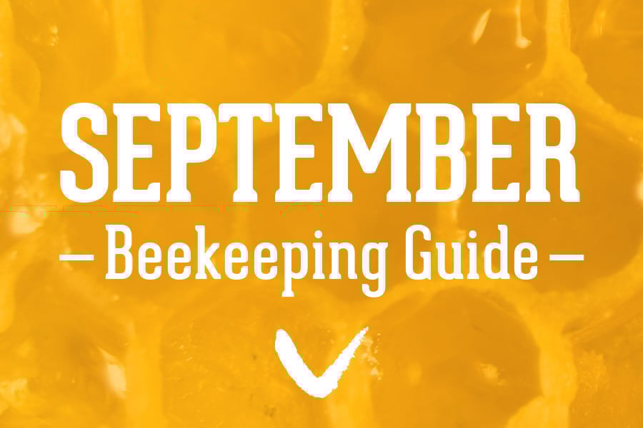 September-Beekeeping-Guide