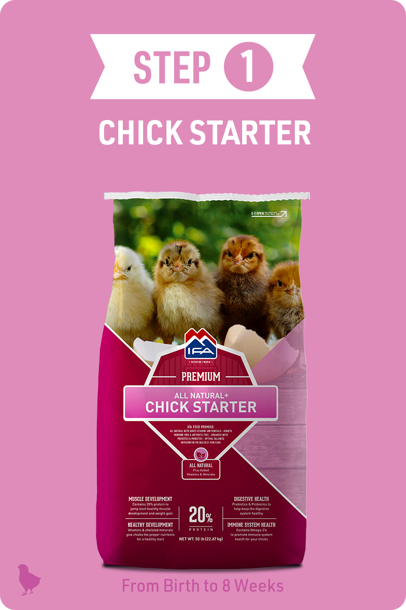 IFA Step 1 - Chick Starter