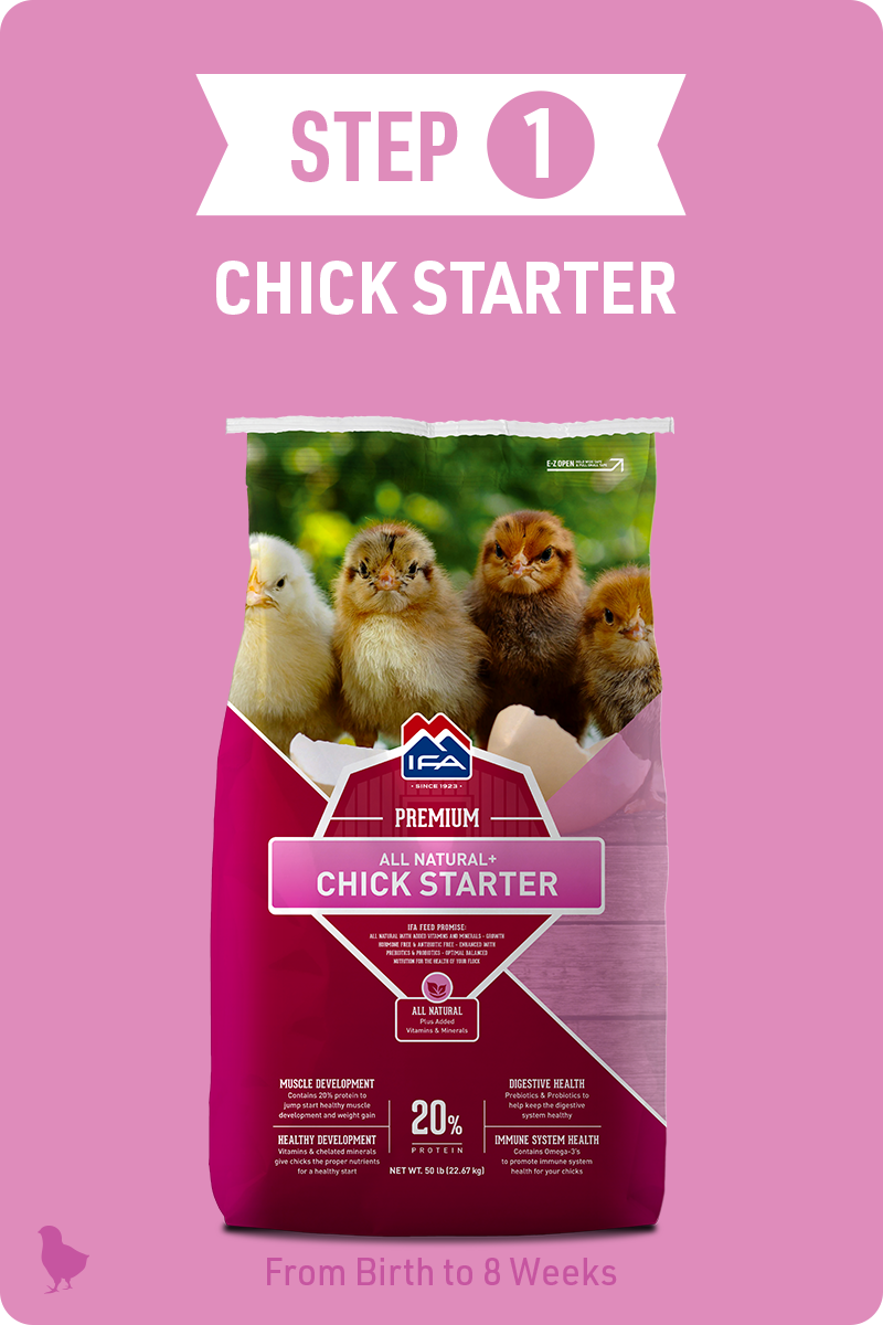 Step 1 - Chick Starter