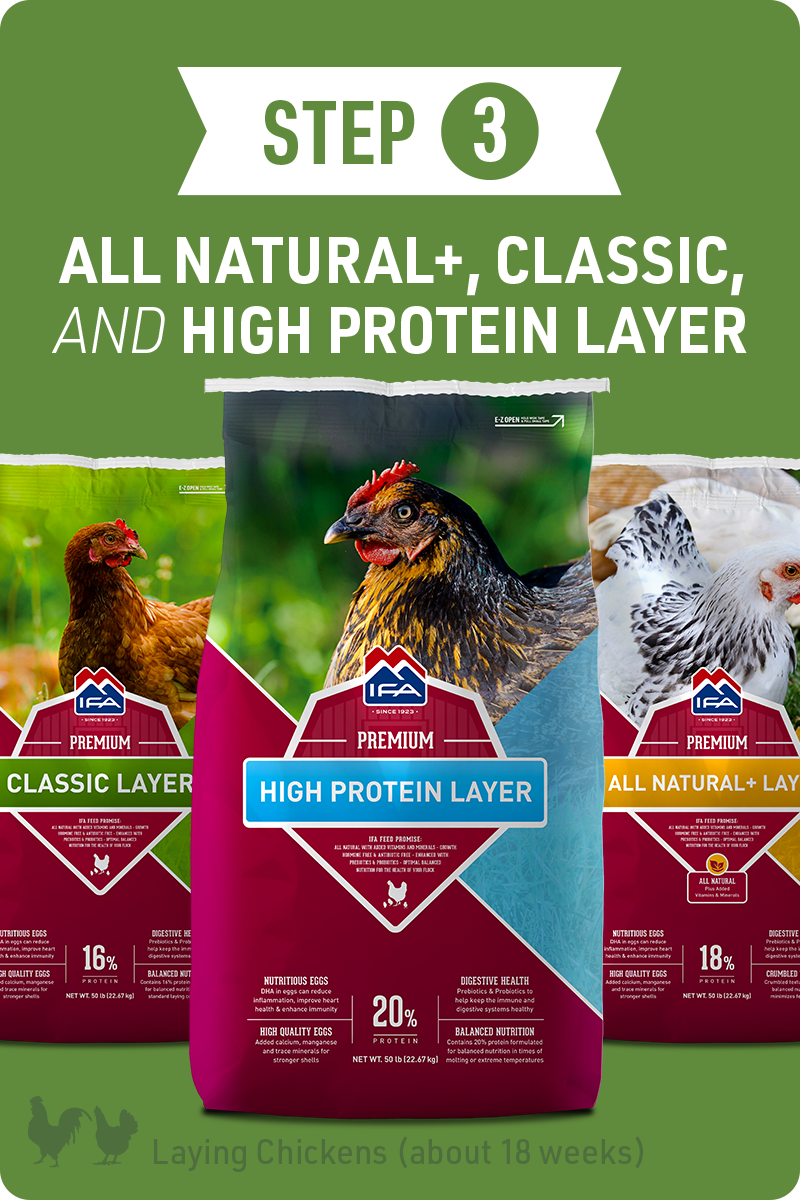 Step 3 - Layer Feeds
